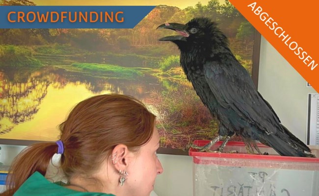 Abgeschlossen: Crowdfunding Voliere für Rabenvögel im SUST-Wildlife Rehabilitation Center